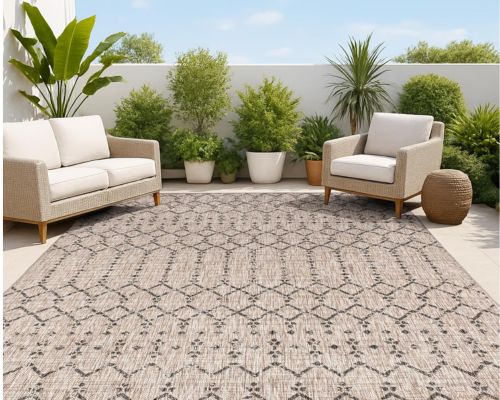Outdoor Rugs and Pillows