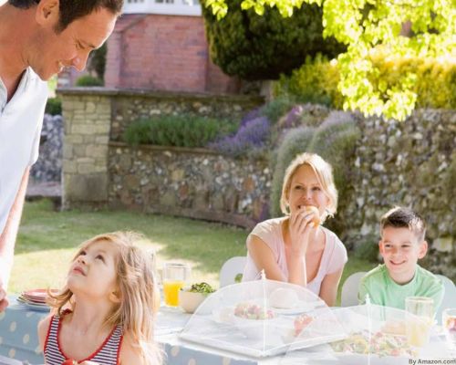Outdoor Dining Essentials