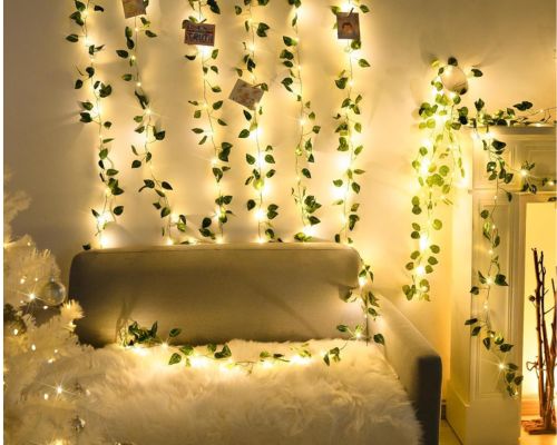Natural Ambiance with Greenery